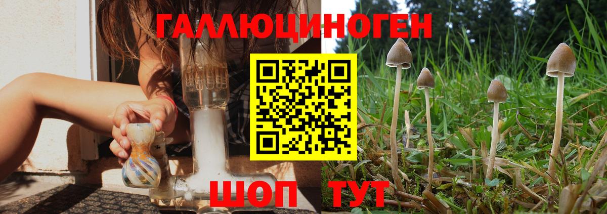 Галлюциногенные грибы мицелий Уварово