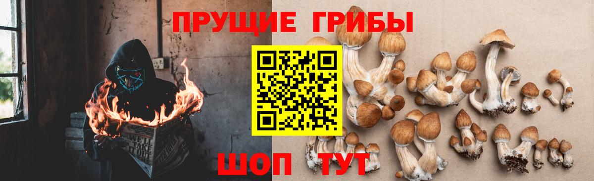 Галлюциногенные грибы MAGIC MUSHROOMS  Галлюциногенные грибы Magic Shrooms  Вход с VPN  Уварово 